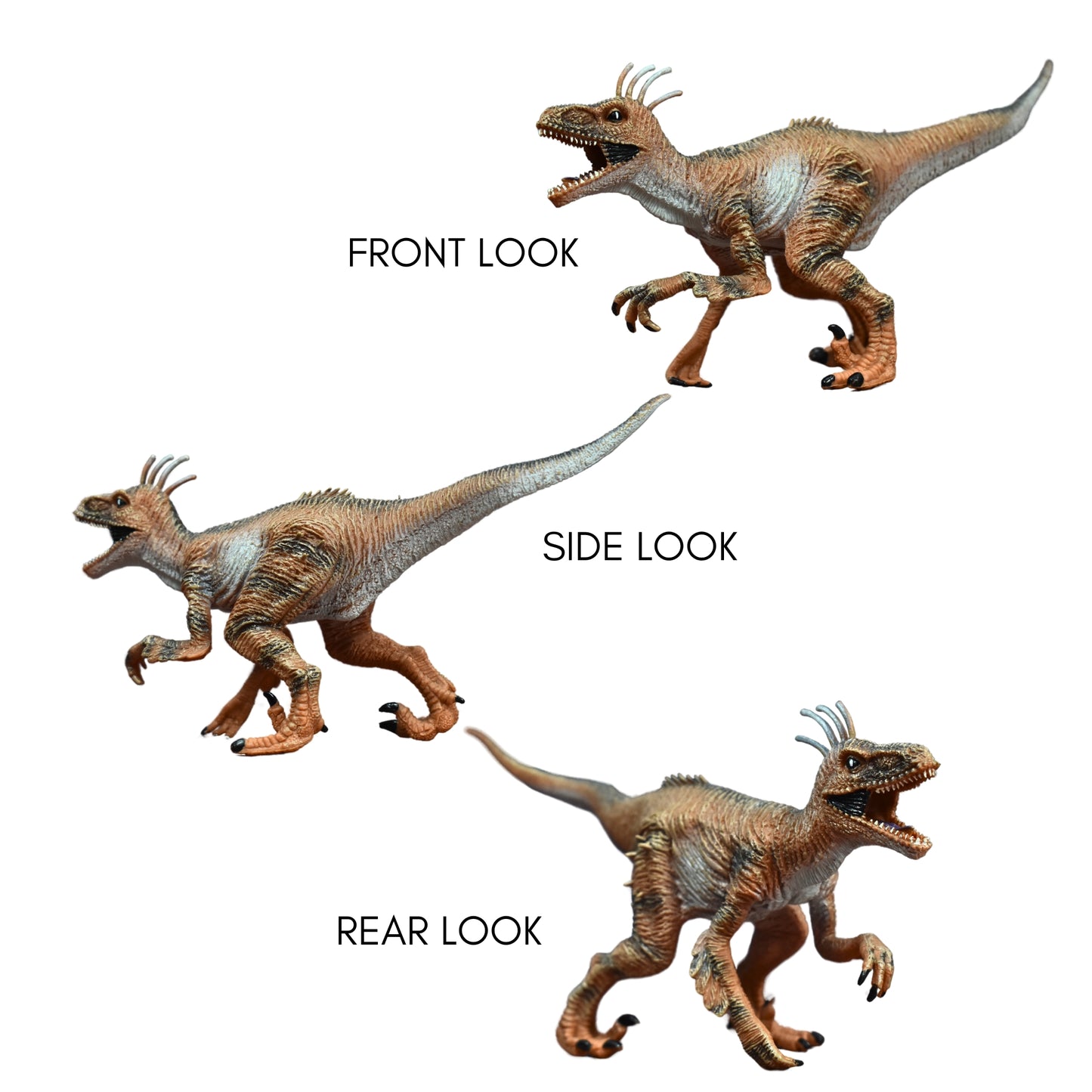 Dinosaur Action Figure - Realistic 10-inch Velociraptor Toy For Kids