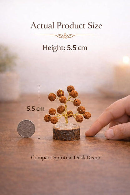 Rudraksha Tree – Spiritual Positive Energy Vastu Showpiece