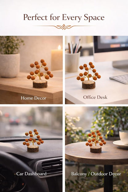 Rudraksha Tree – Spiritual Positive Energy Vastu Showpiece