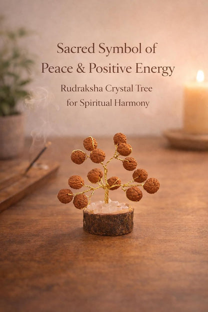 Rudraksha Tree – Spiritual Positive Energy Vastu Showpiece