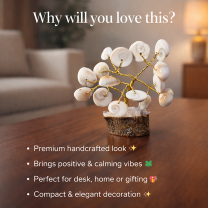 Natural Shell Stone Tree – Positive Energy Feng Shui Home Décor