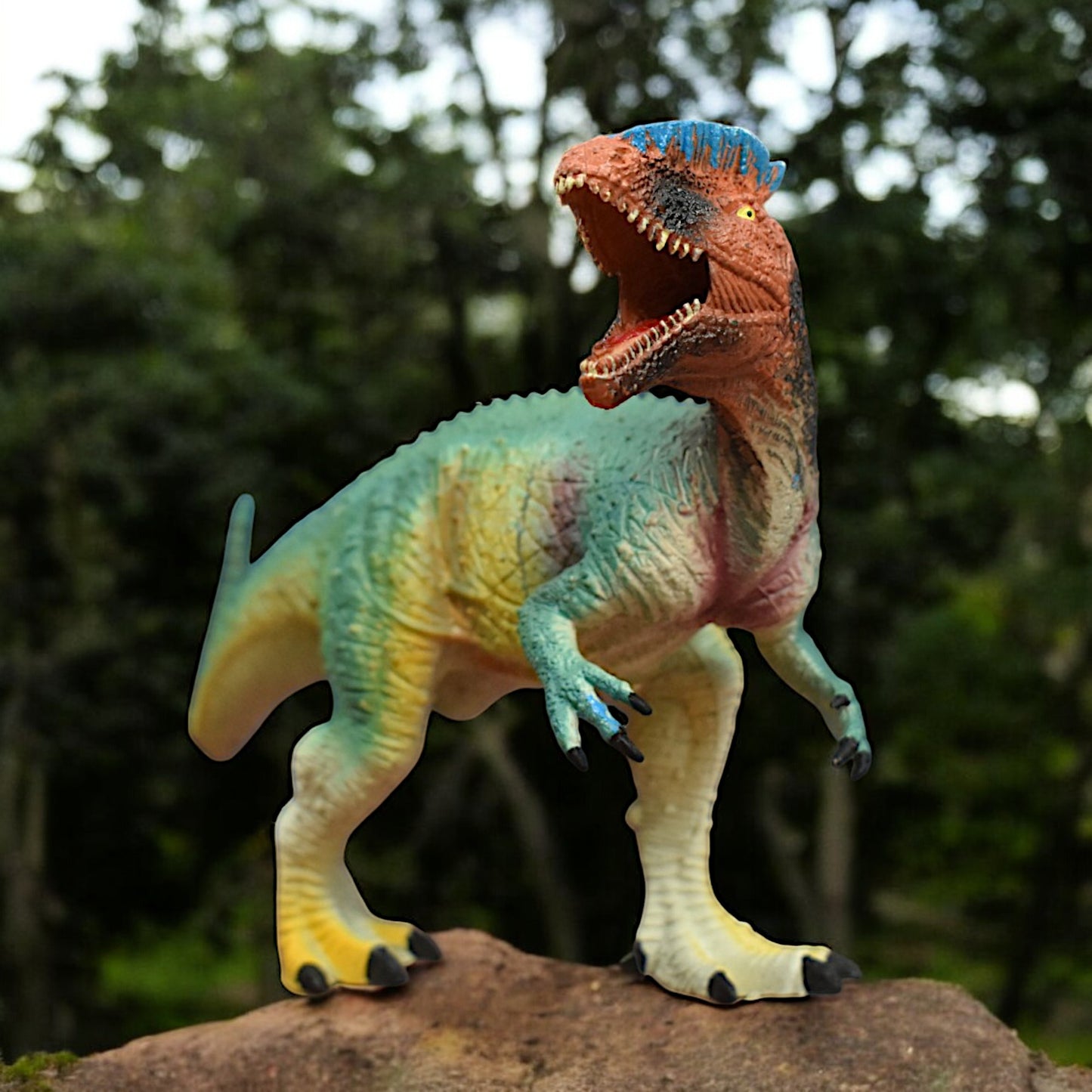 Dinosaur Action Figure - Realistic 10-inch Carnotaurus Toy