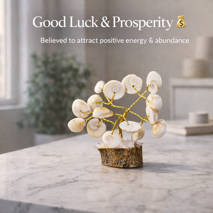 Natural Shell Stone Tree – Positive Energy Feng Shui Home Décor
