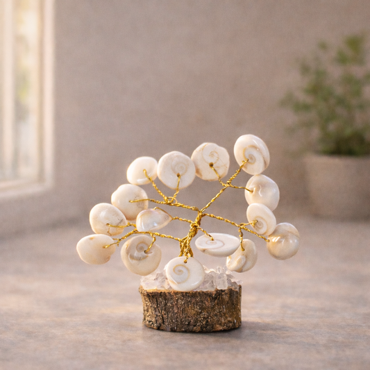 Natural Shell Stone Tree – Positive Energy Feng Shui Home Décor