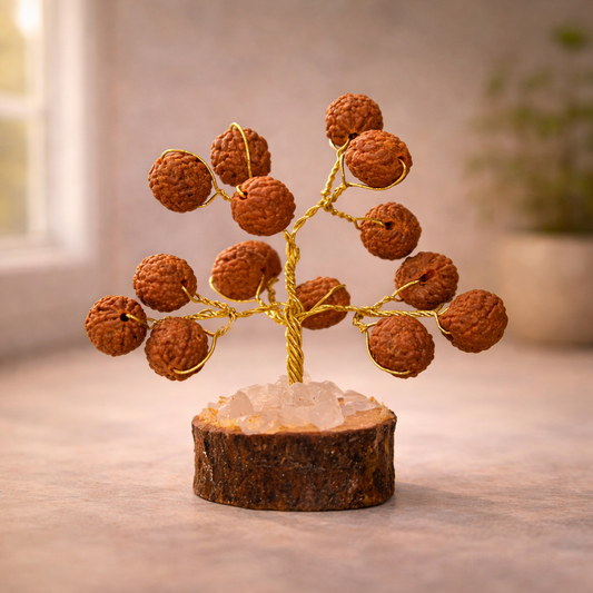 Rudraksha Tree – Spiritual Positive Energy Vastu Showpiece